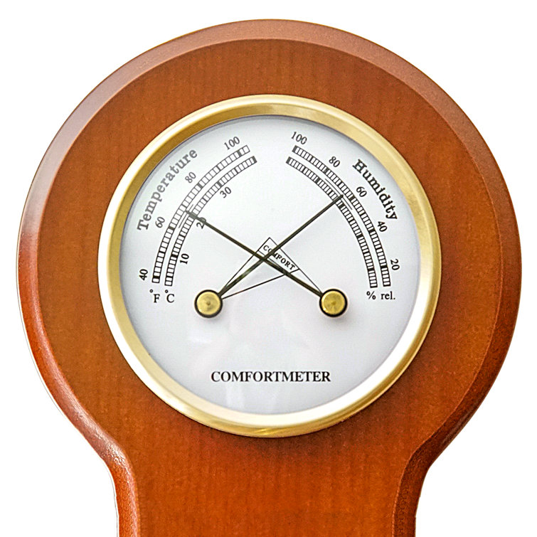 Ambient Weather 18'' Weather Station | Wayfair